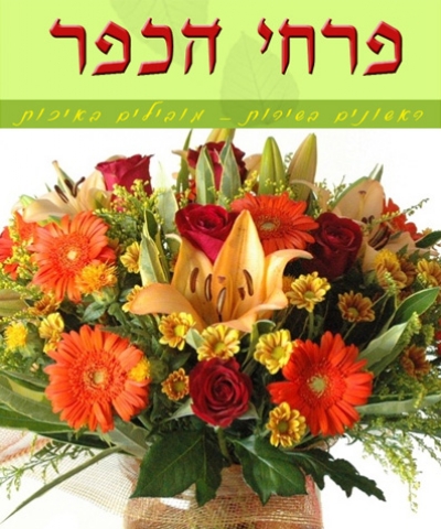 פרחי הכפר - מגוון פרחים רעננים, זרים וסידוריים מקוריים,משלוחים חיפה קריות והסביבה 